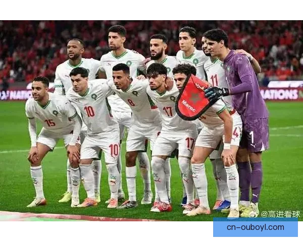 马内卜拉欣领衔非洲杯最佳阵容荣耀之选