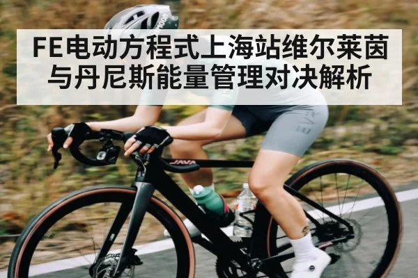 FE电动方程式上海站维尔莱茵与丹尼斯能量管理对决解析 | c7c7